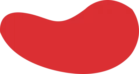 欢迎来到蘑菇加速器官網｜蘑菇加速器