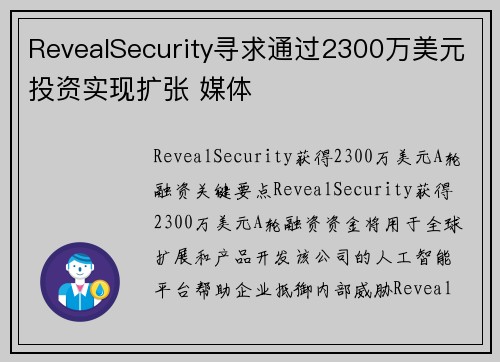 RevealSecurity寻求通过2300万美元投资实现扩张 媒体