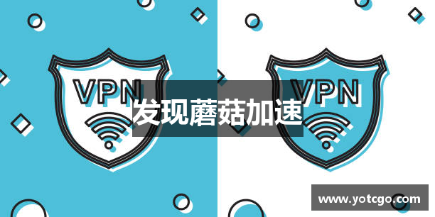 欢迎来到蘑菇加速器官網｜蘑菇加速器